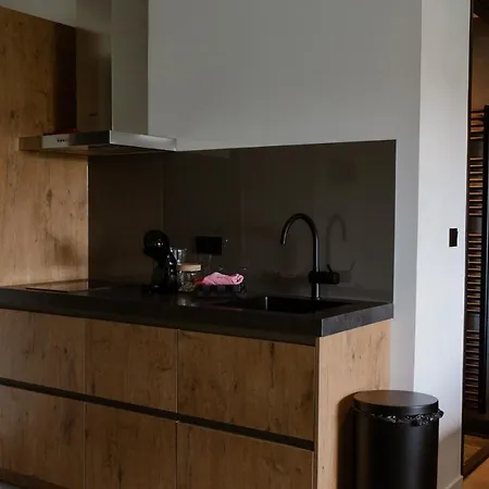 De La Rue Vakantiesuites Aparthotel Sleeuwijk