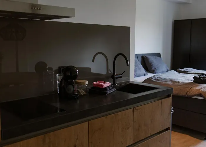 De La Rue Vakantiesuites 3*